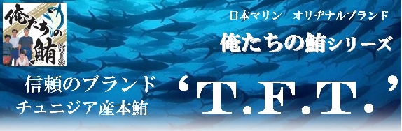 TFT_title.JPG